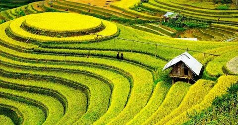 90% người nhầm lẫn: 'Trơ chọi' hay 'trơ trọi'?