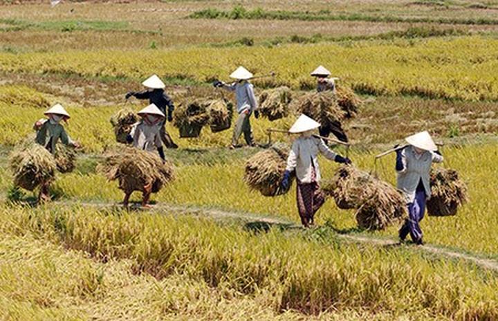 Sự Bùng Nổ Của Video Ngắn và Trí Tuệ Nhân Tạo: Vai Trò Thiết Yếu Của Đào Tạo Kỹ Năng Sáng Tạo Nội Dung_Video trực tiếp ngắn