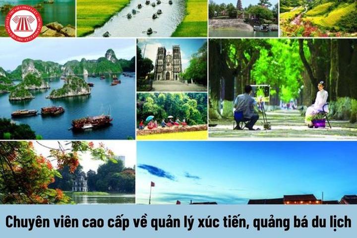 Hotspot Matrix: Biến Phương Oanh diện set đồ 50 thành cơ hội marketing đột phá_Slice với hàng hóa