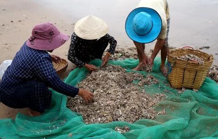 Cách Khởi Nghiệp Kiếm Tiền Bán Thời Gian Dành Cho Người Mới