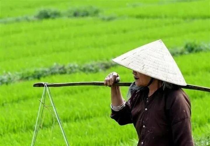 Hotspot Matrix cung cấp giải pháp cho việc tìm mật khẩu wifi tại Thư viện Quốc gia